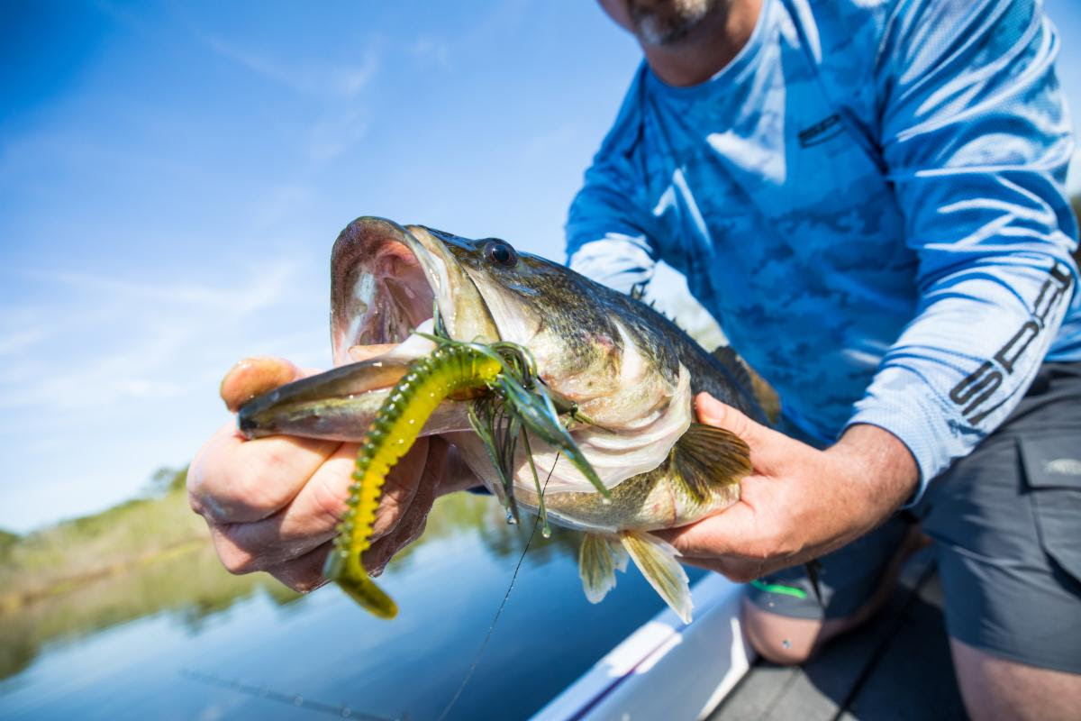 SPRO® Pocket Tail Minnow Available in Five New Colors By Popular Demand - Vimarsana News