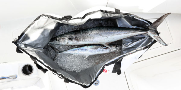 New at ICAST 2022: Smith's Insulated Fish and Bait Bags