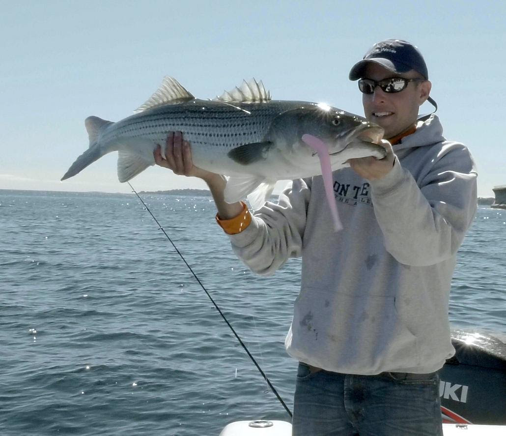 Soft Plastic Lures for Striped Bass Fishing