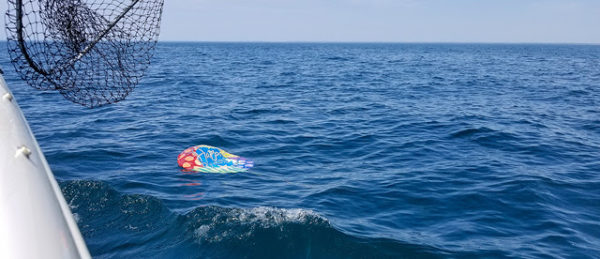 Hurricane Ian relief, DEEP balloon challenge, snackle box and more
